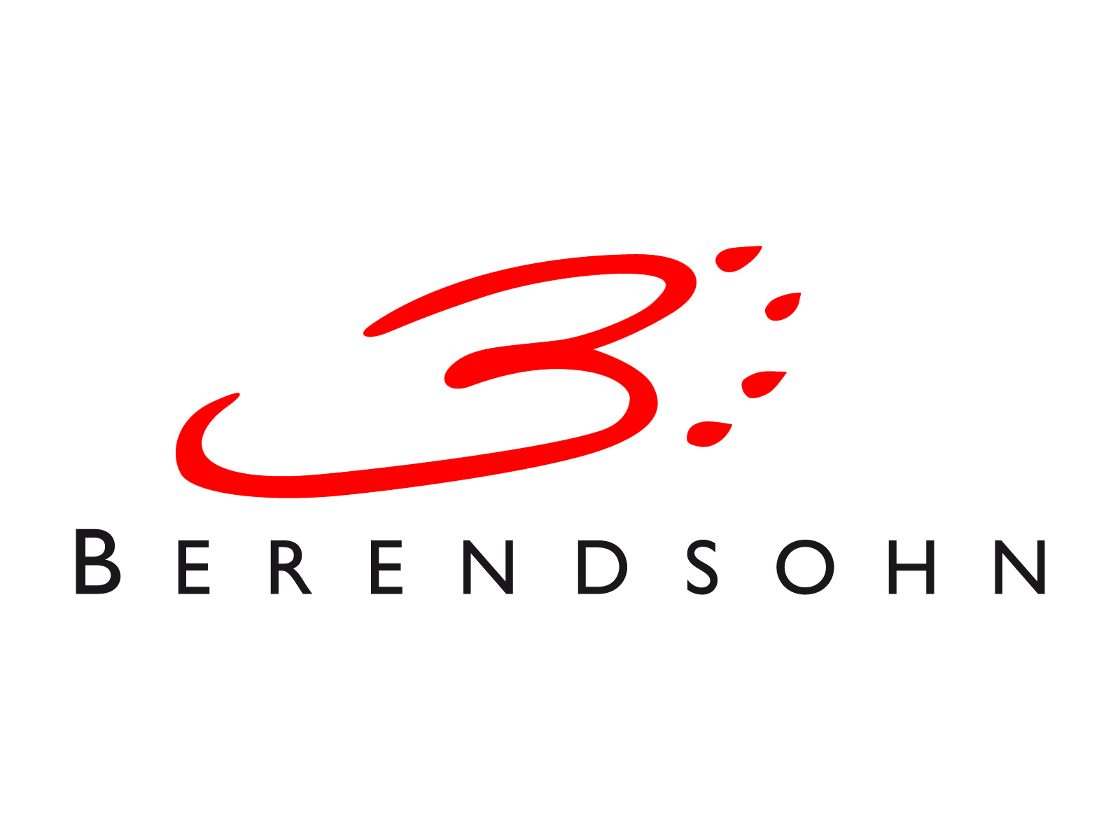 berendsohn_logo_web-rgb